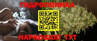 шишки Ставрополь