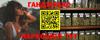 шишки Ставрополь
