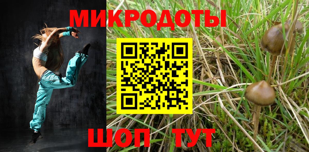 Псилоцибиновые грибы MAGIC MUSHROOMS Нерюнгри