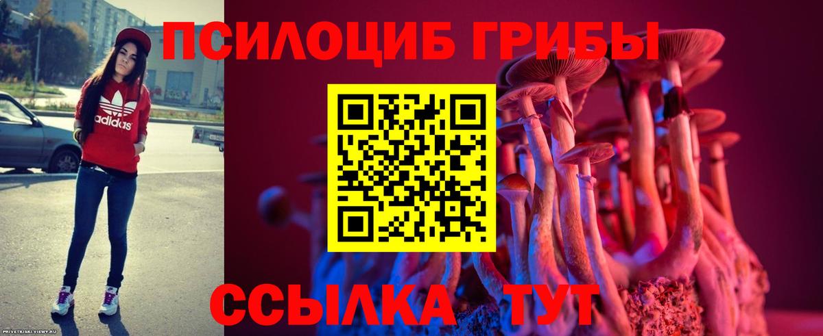Нерюнгри  Галлюциногенные грибы Psilocybe  Псилоцибиновые грибы мицелий  Вход с VPN 